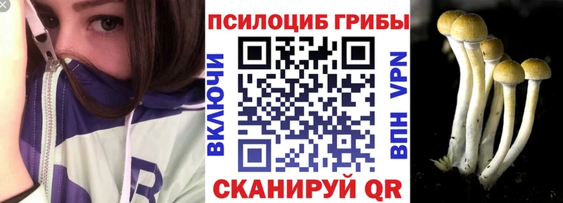 Галлюциногенные грибы Magic Shrooms  купить  цена  Курск 